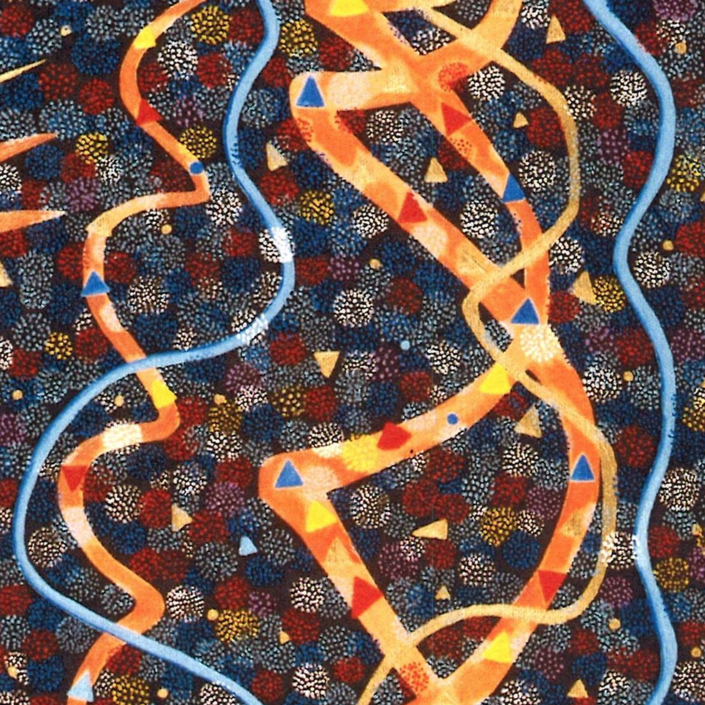 Image for the paper "Form and function in gene regulatory networks"