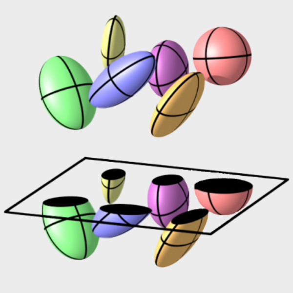 Image for the paper "Reconstructing grain-shape statistics from electron back-scatter diffraction microscopy"