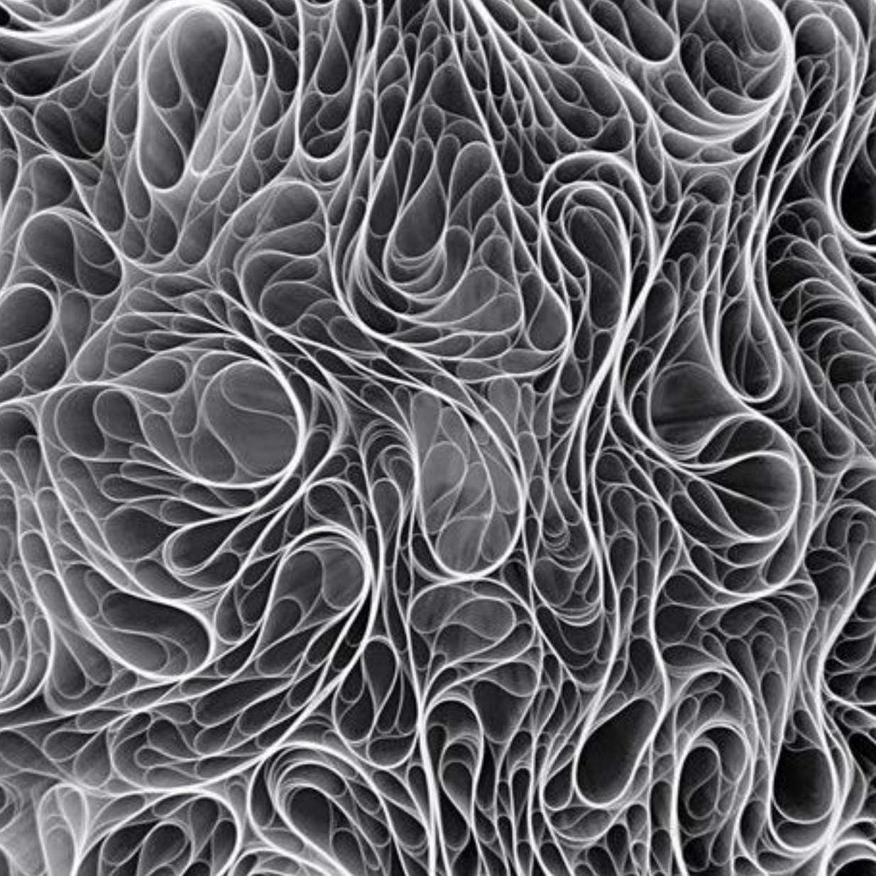Image for the paper "Transitions in loopy random graphs with fixed degrees and arbitrary degree distributions"