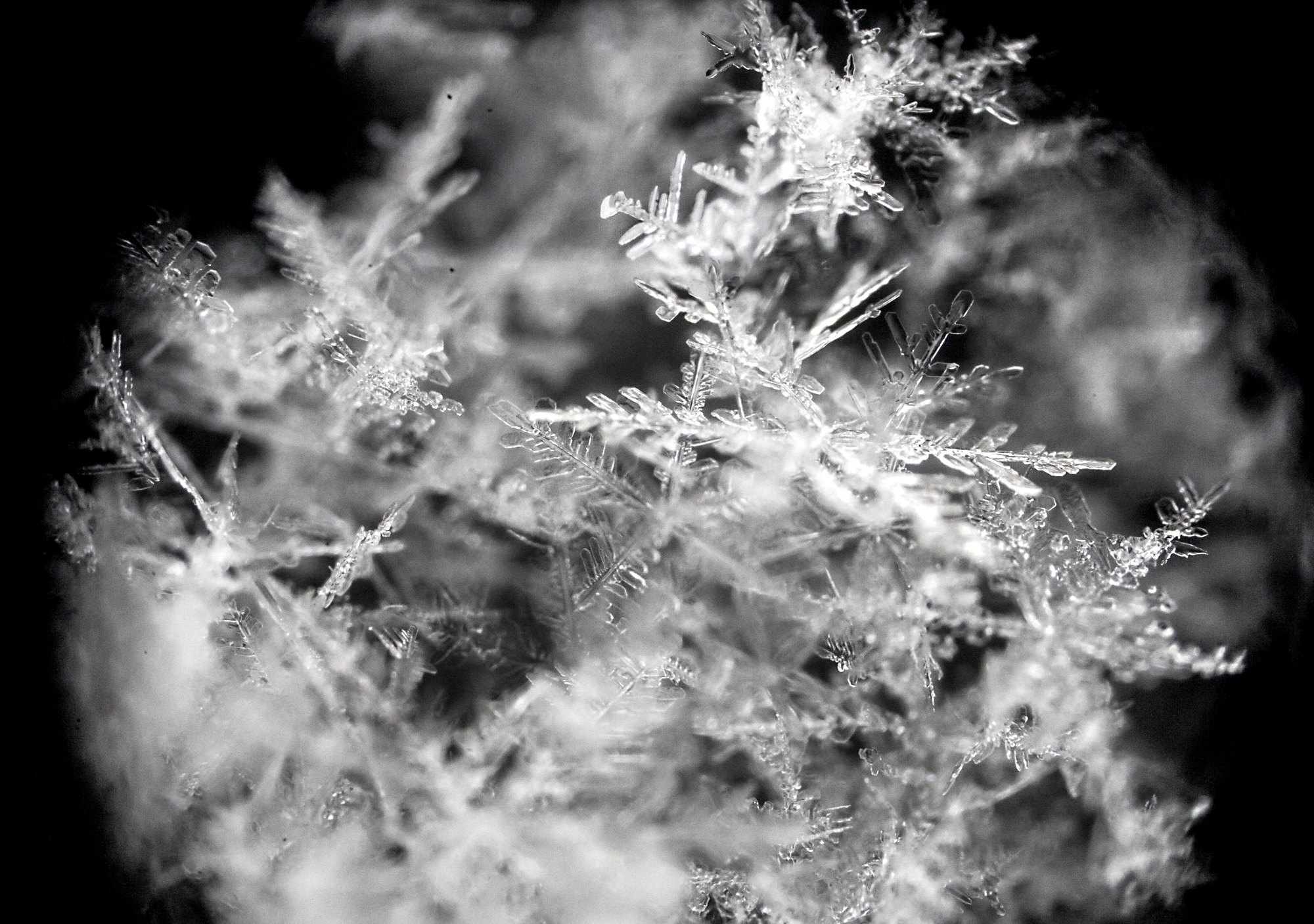 Image for the paper "Cluster algebras: network science and machine learning"