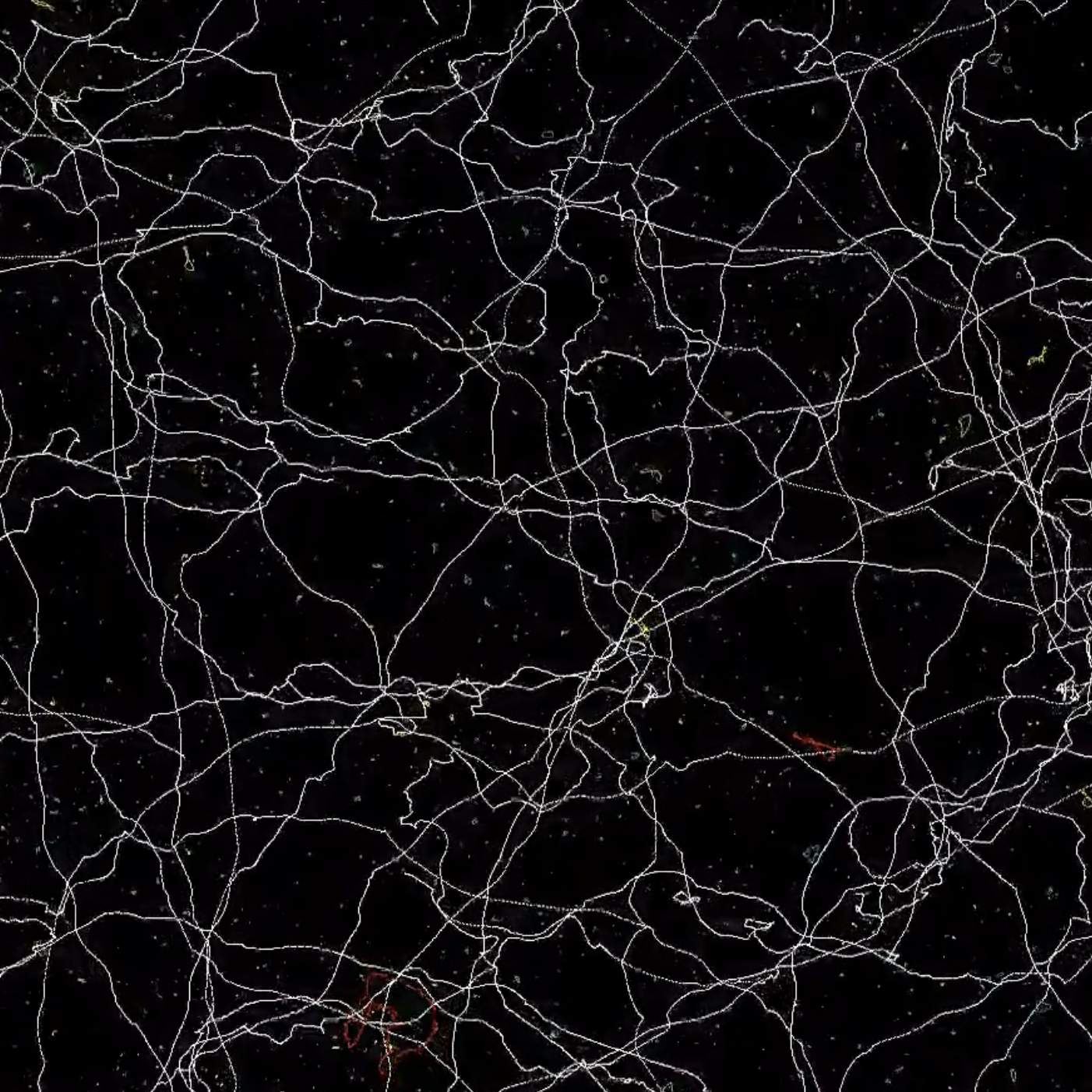 Cosmic string for electromagnetic duality