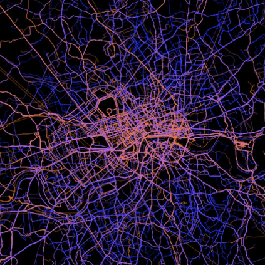 Image for the paper "Optimal scales in weighted networks"