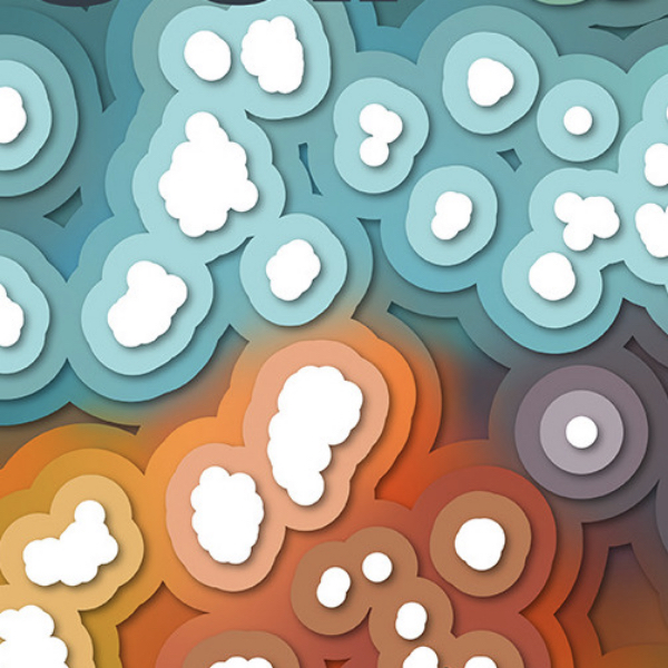 Image for the paper "A holistic approach for collaborative workload execution in volunteer clouds"